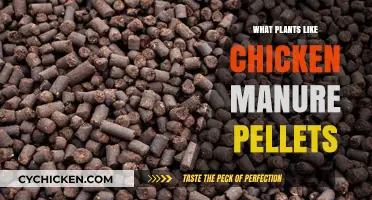 Boosting Garden Growth: Plants That Thrive on Chicken Manure Pellets