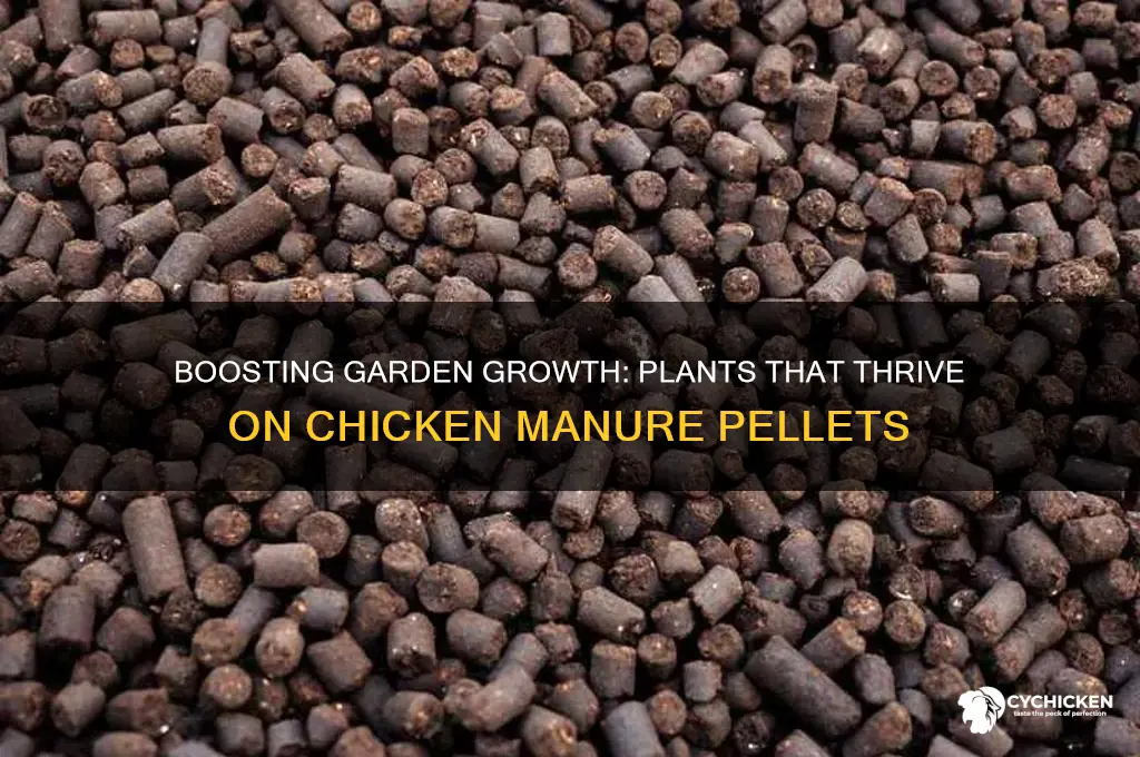 what plants like chicken manure pellets
