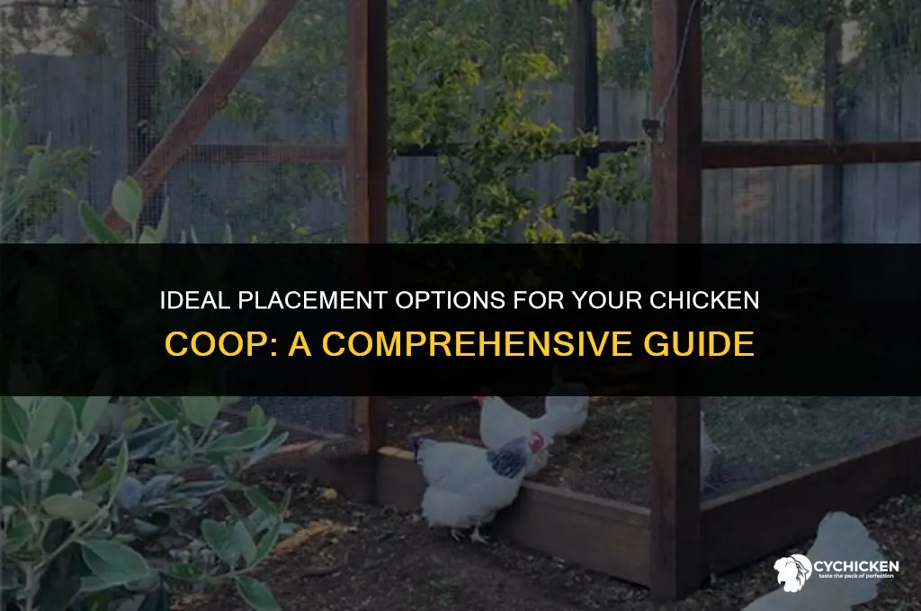 what plasement could a chicken coop be in