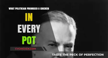 The Chicken in Every Pot Promise: A Historical Analysis