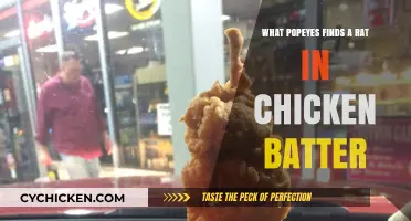 Popeyes Chicken Batter Horror: Rat Discovered in Kitchen Incident
