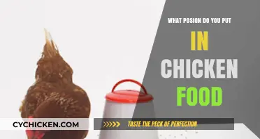 Safe Chicken Feed: Avoiding Toxic Substances in Poultry Diets