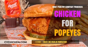 Which Poultry Supplier Provides Popeyes' Signature Chicken?