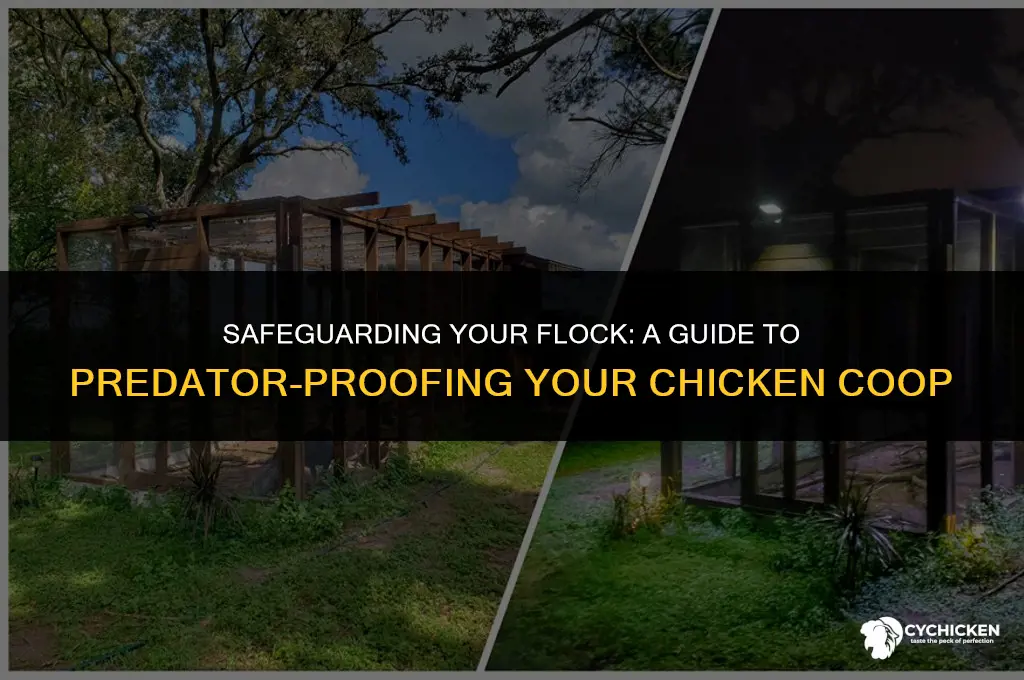 what predators chicken coop