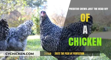 Chicken Head Mystery: Predator's Identity and Its Motives