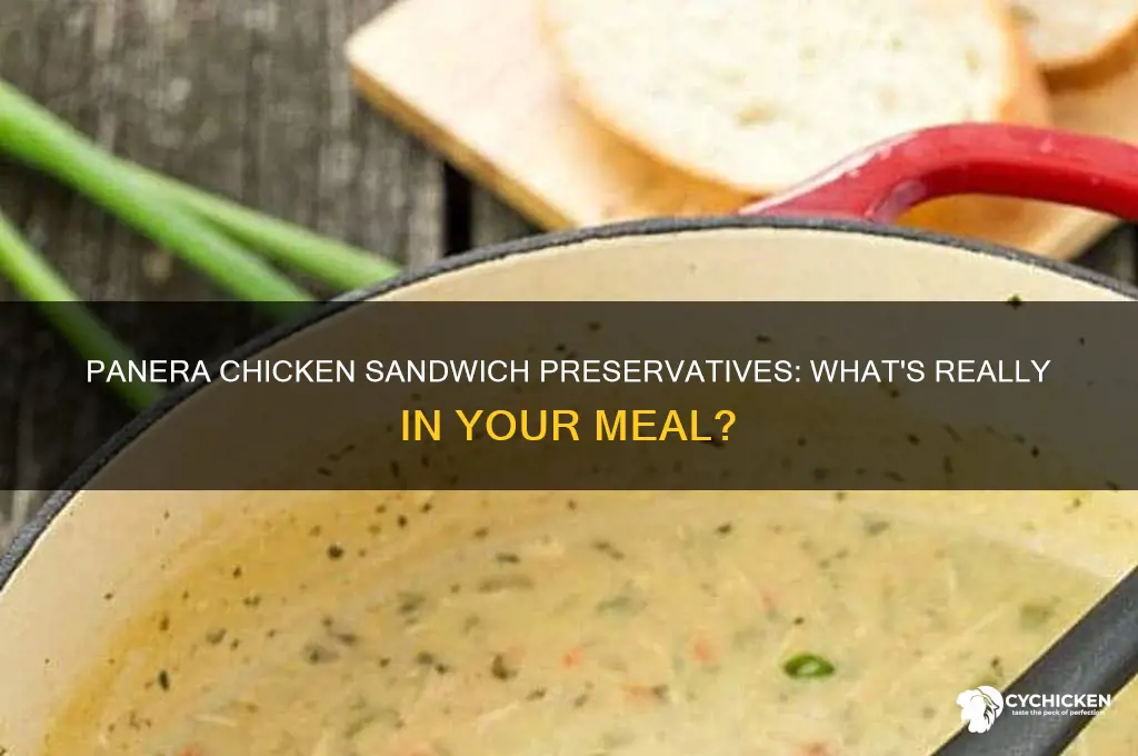 what preservatives are in chicken at panera chicken sandwich