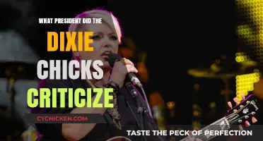 Dixie Chicks' Bold Criticism of President George W. Bush