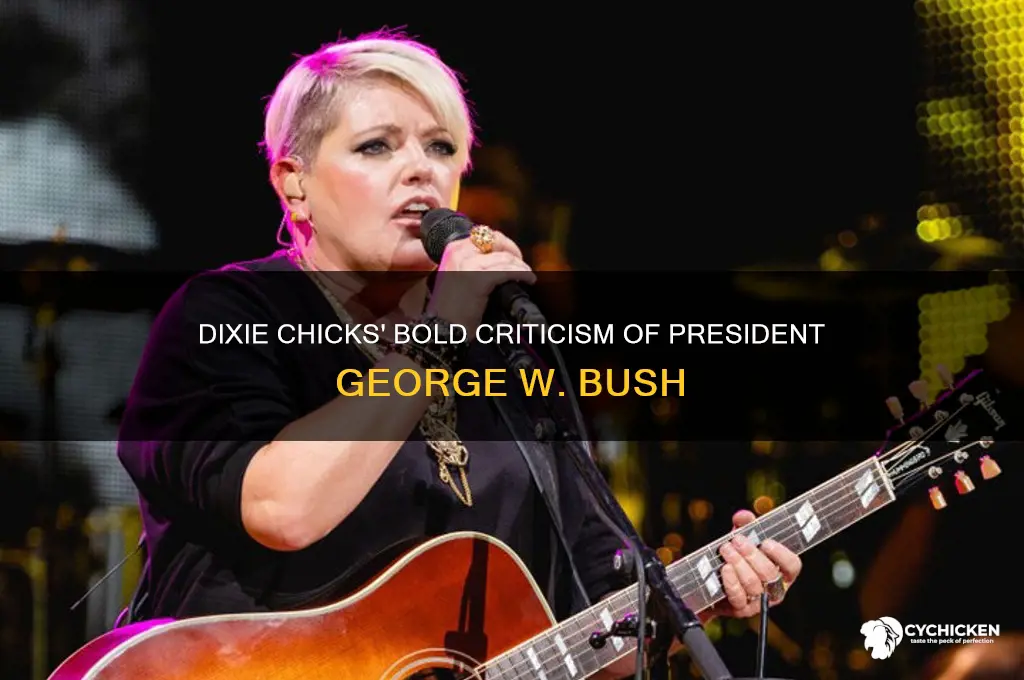 what president did the dixie chicks criticize