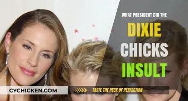 The Dixie Chicks' Bold Criticism of President Bush Explained