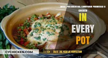 The Forgotten Promise: A Chicken in Every Pot Revisited