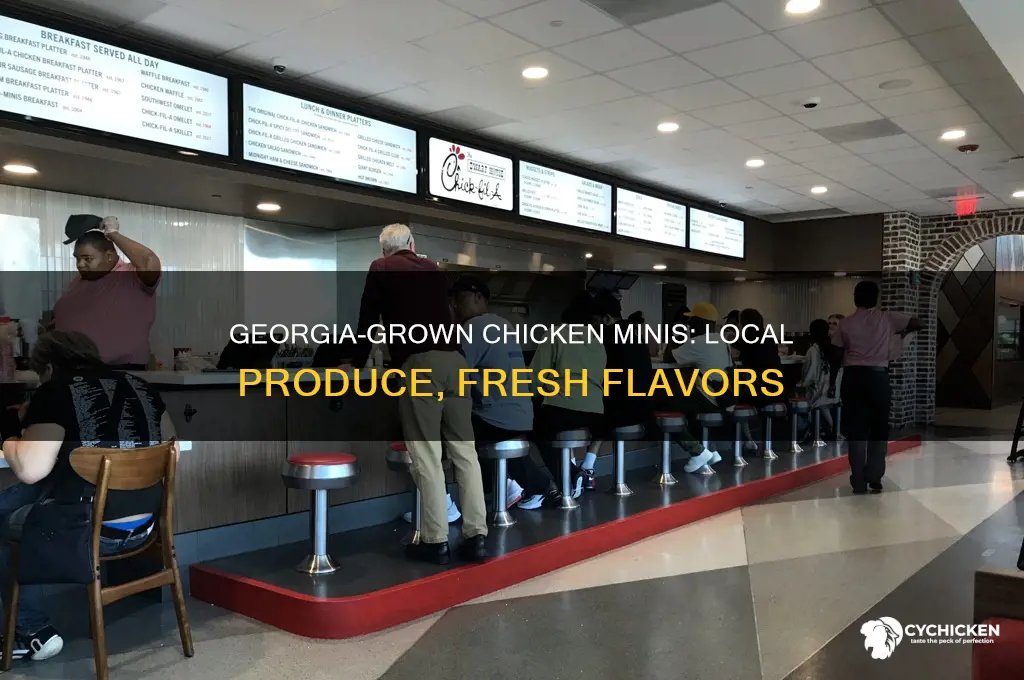what product in chicken minis is in georgia from georgia