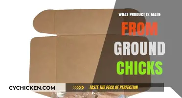 Ground Chicks: Surprising Products Made from This Unique Ingredient