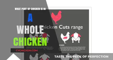 Exploring the Cuts: What Parts Make Up a Whole Chicken?