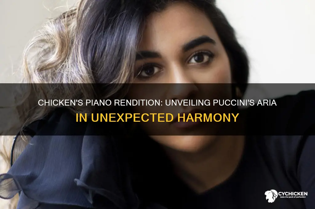 what puccini aria is chicken playing on piano