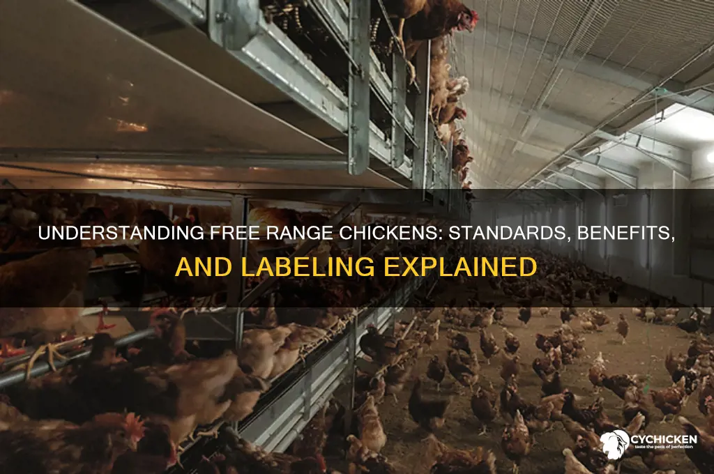 what qualifies as a free range chicken