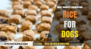 Perfect Chicken and Rice Portions for Your Dog's Balanced Diet