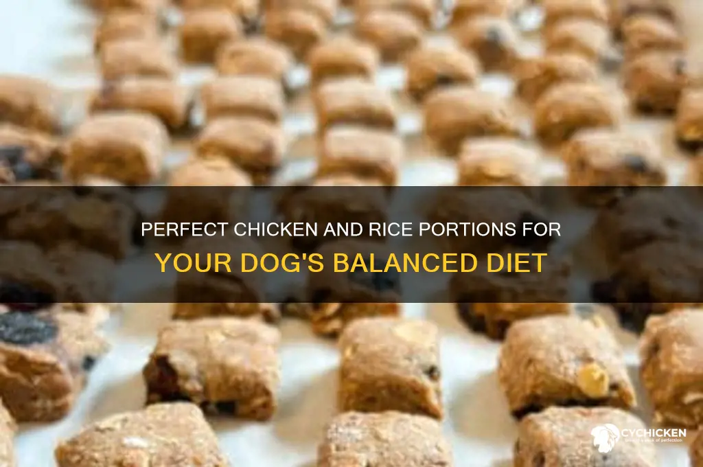 what quantity chicken and rice for dogs