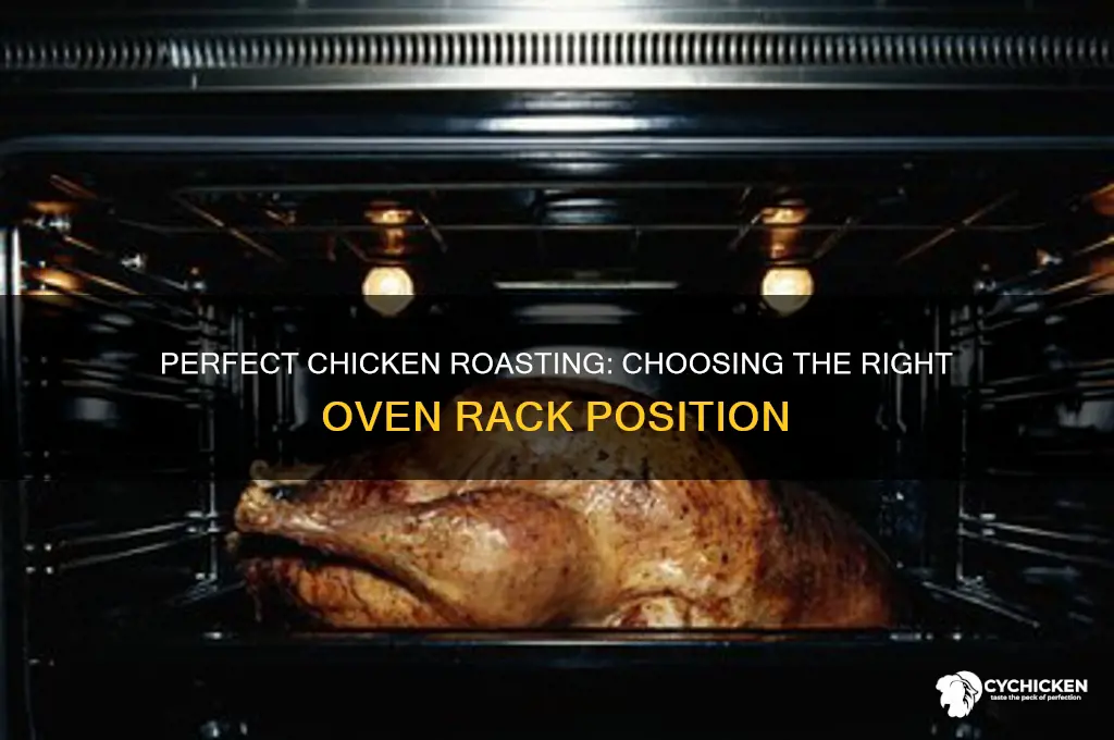 what rack do you put chicken on