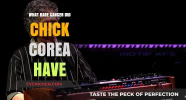 Chick Corea's Rare Cancer Diagnosis: Understanding His Battle with Cancer