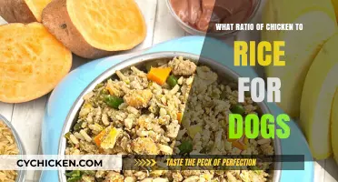 Perfect Chicken to Rice Ratio for Dogs: Balanced Homemade Meals