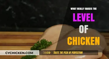 Unveiling the Secrets: What Truly Elevates Chicken Quality and Taste