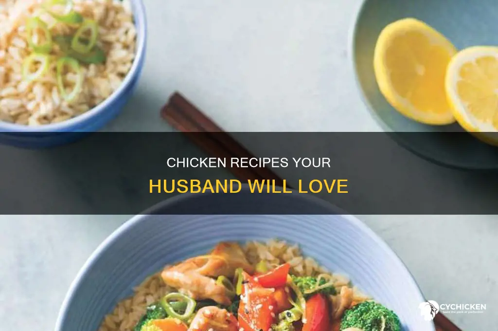 what recipe book has hubby lovin chicken thm recipe