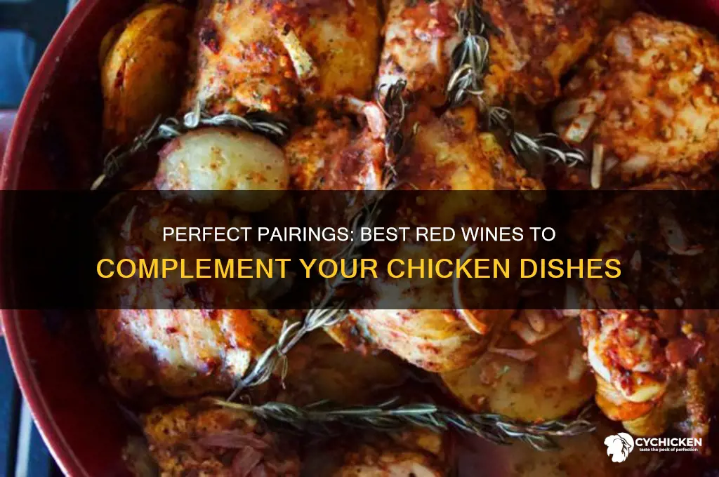 what red wine goes best with chicken