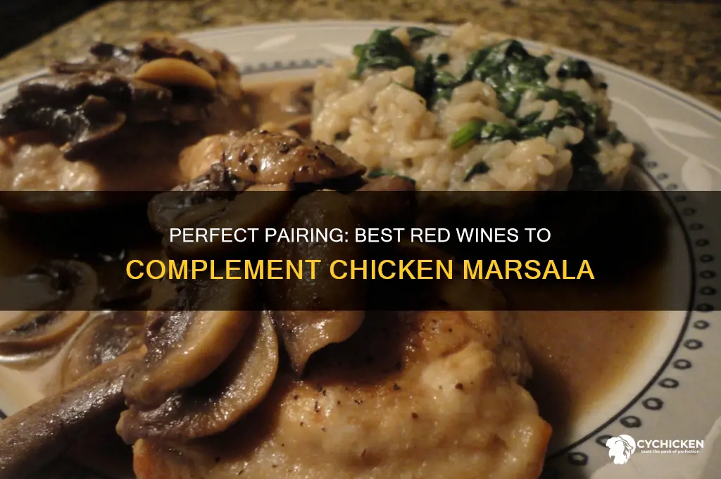 what red wine goes well with chicken marsala