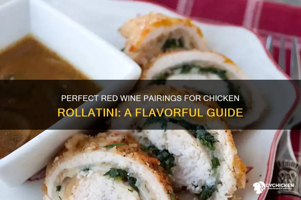 what red wine goes well with chicken rollintini