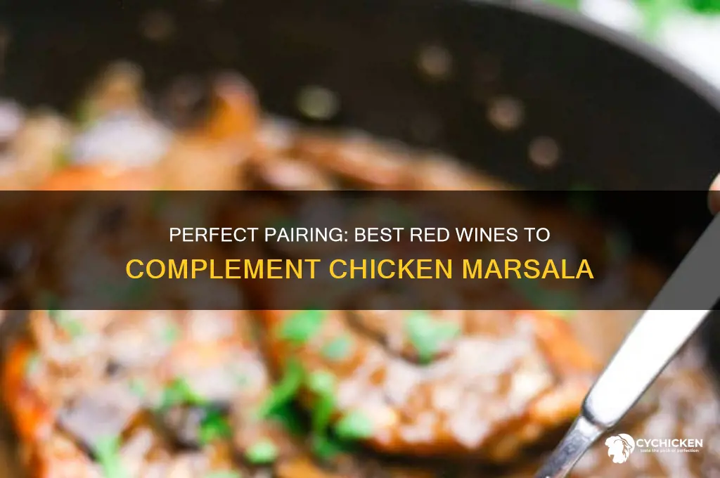 what red wine goes with chicken marsala