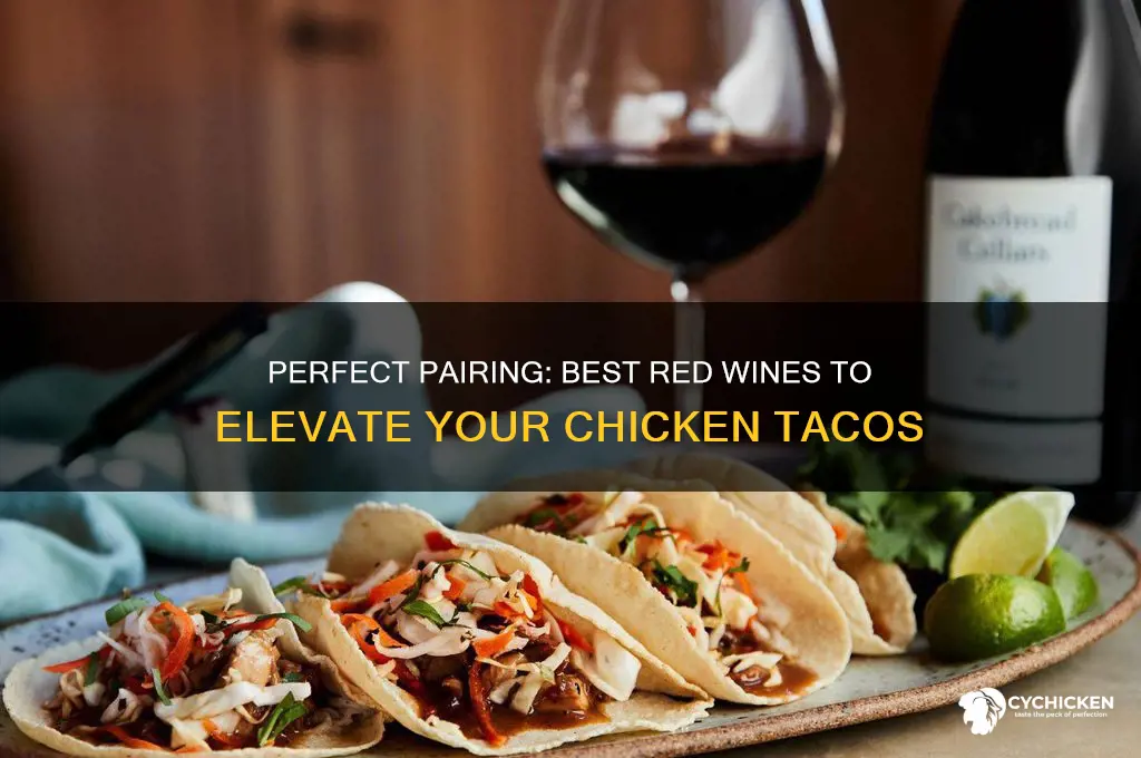 what red wine goes with chicken tacos