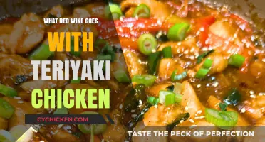 Perfect Pairing: Best Red Wines to Complement Teriyaki Chicken Dish