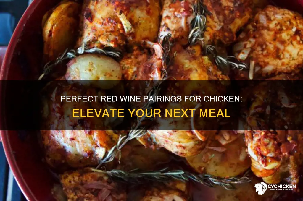 what red wine pairs well with chicken