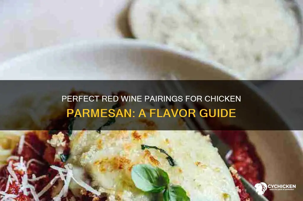 what red wine pairs with chicken parmesan