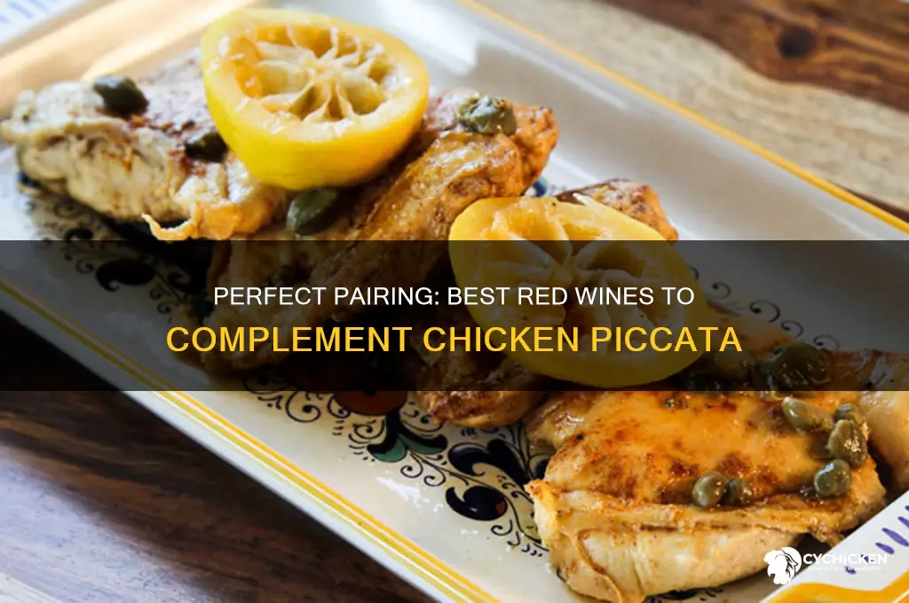 what red wine to drink with chicken piccata