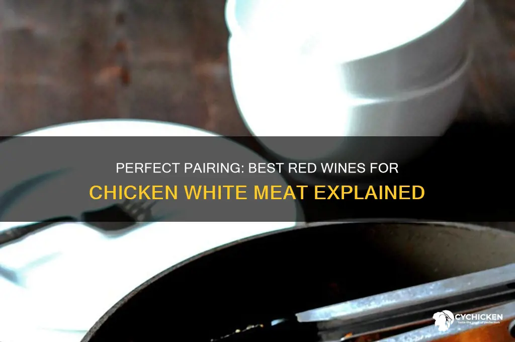 what red wine with chicken white meat