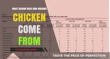Where Non-Organic Chicken Originates: Exploring Global Poultry Farming Regions