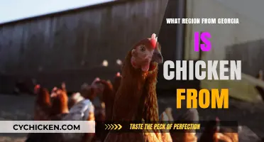 Exploring Georgia's Chicken Origins: Uncovering the Region Behind the Dish