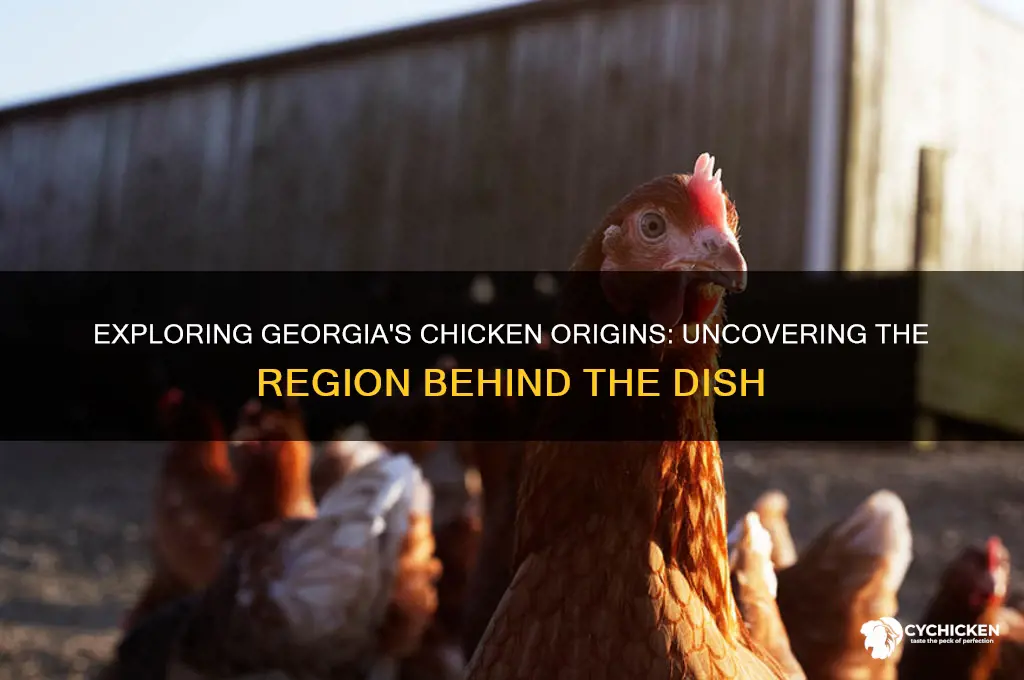 what region from georgia is chicken from