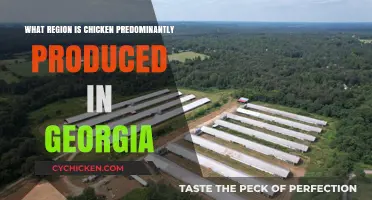 Georgia's Chicken Production Hub: Exploring the State's Leading Poultry Region