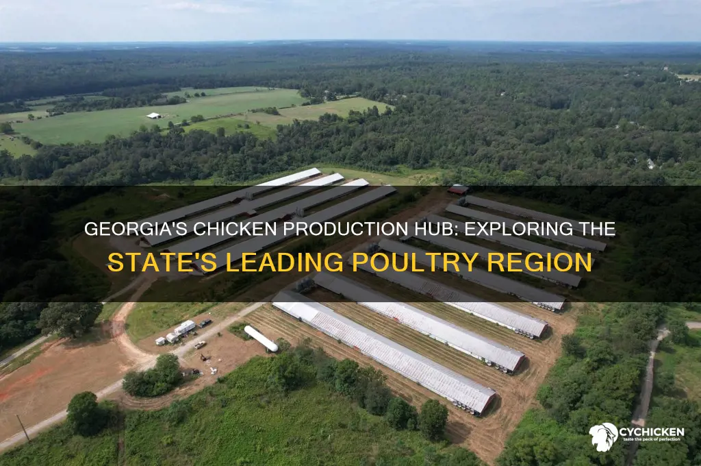what region is chicken predominantly produced in georgia