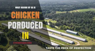 Georgia's Poultry Hub: Where Chicken Production Thrives in the State
