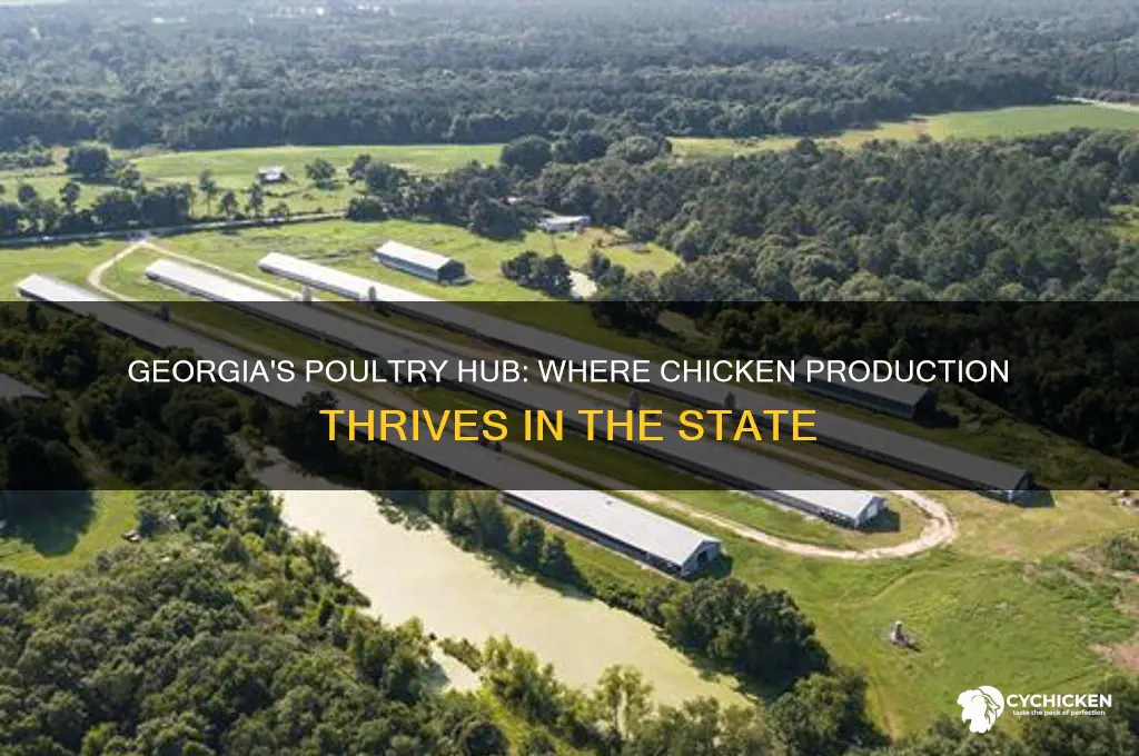 what region of ga is chicken porduced in