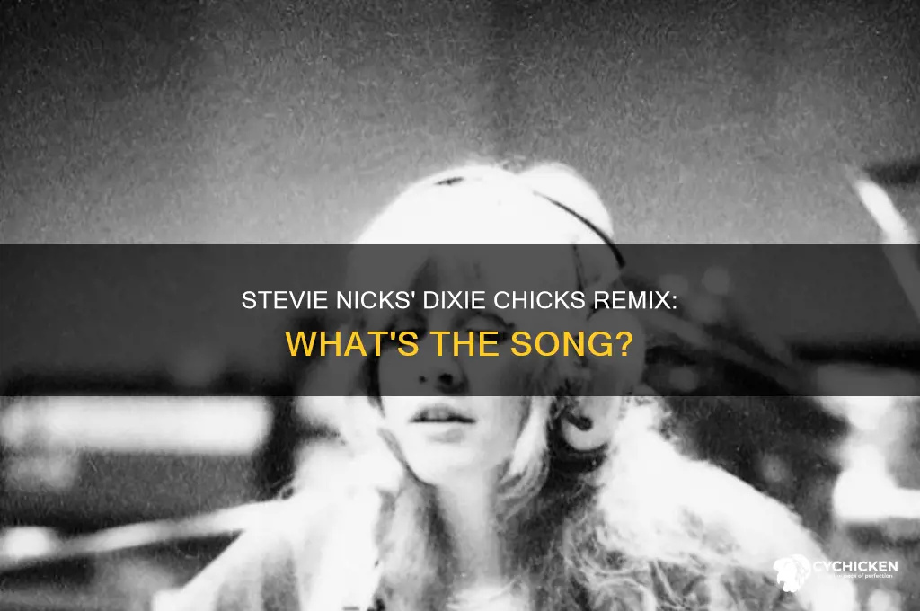 what remix of stevie nicks do the dixie chicks sing