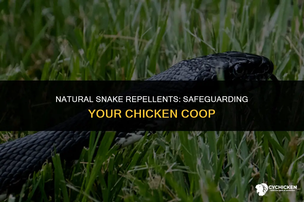 what repels snakes from chicken coop
