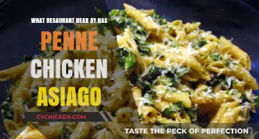 Discover Nearby Restaurants Serving Delicious Penne Chicken Asiago Today