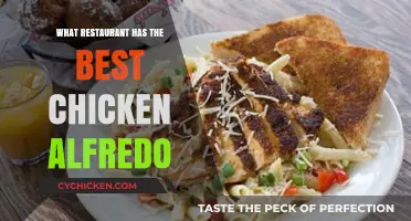 Discovering the Ultimate Chicken Alfredo: Top Restaurant Picks