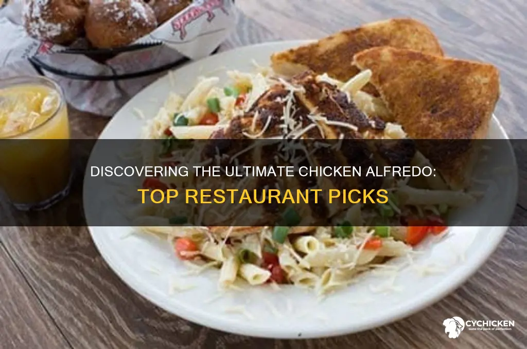 what restaurant has the best chicken alfredo