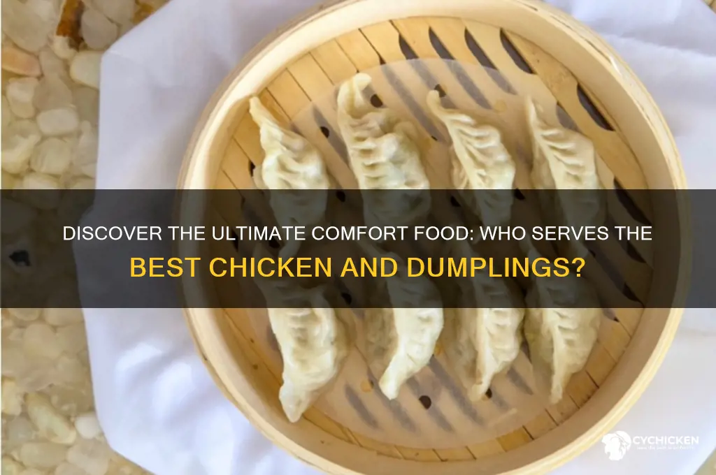 what restaurant has the best chicken and dumplings