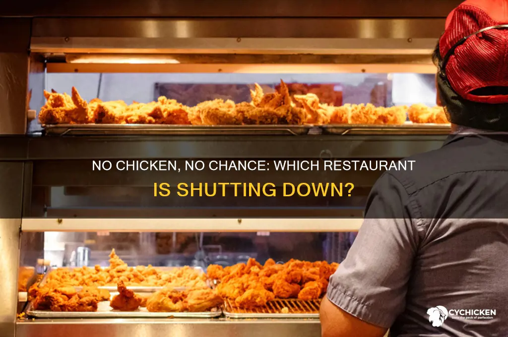 what restaurant is closing due to no chicken